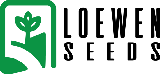 Loewen Seeds Ltd | 3017 Rd 10 NE, Saint Joseph, MB R0G 2C0, Canada | Phone: (204) 216-0944