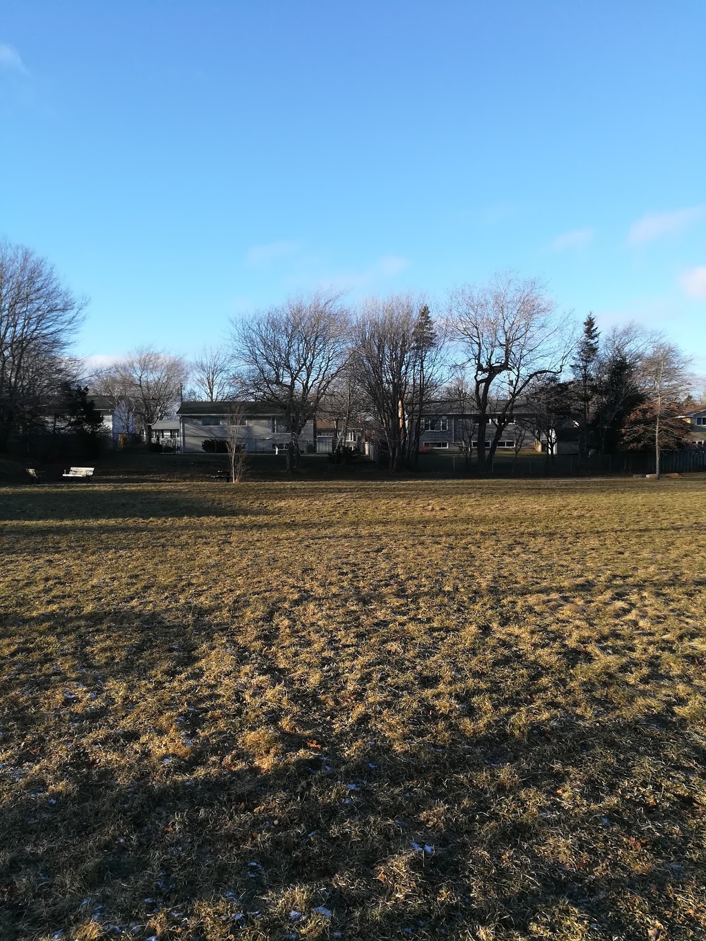 Tremont Plateau Park | 45 Trailwood Pl, Halifax, NS B3M 1X5, Canada