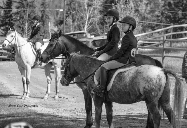 Topline Stables & Show Park | 151 60 St SE, Salmon Arm, BC V1E 1W4, Canada | Phone: (250) 833-2669