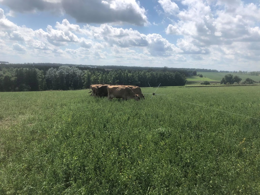 Echo Valley Ranch | 7074 Side Rd 15, Moorefield, ON N0G 2K0, Canada | Phone: (519) 638-5951