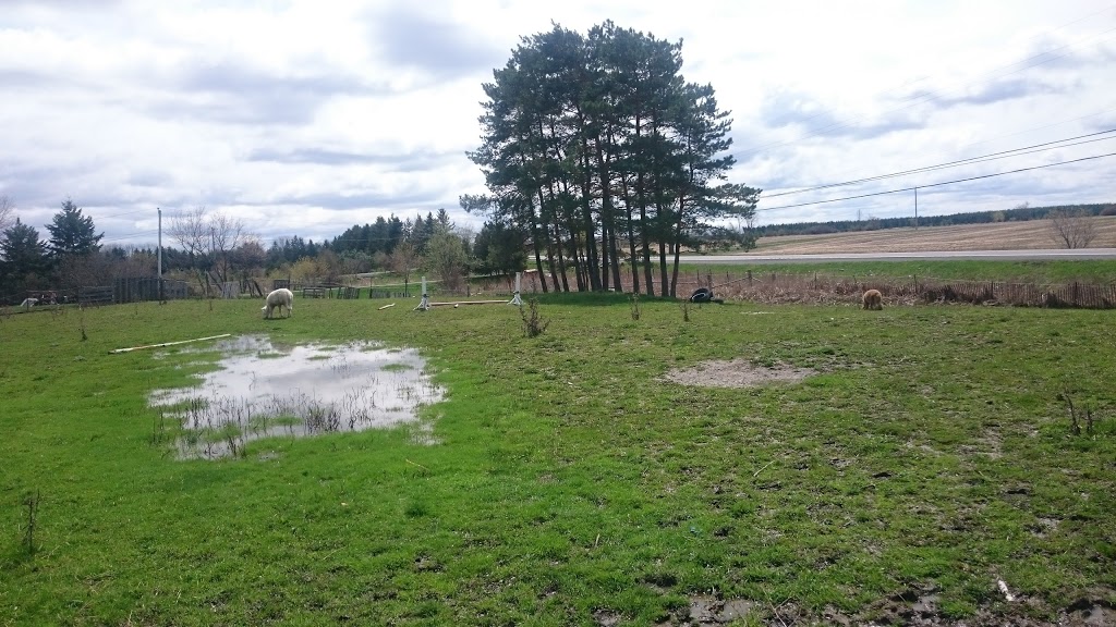 Constance Creek Wildlife Refuge | 2494 Dunrobin Rd, Dunrobin, ON K0A 1T0, Canada | Phone: (613) 222-4719