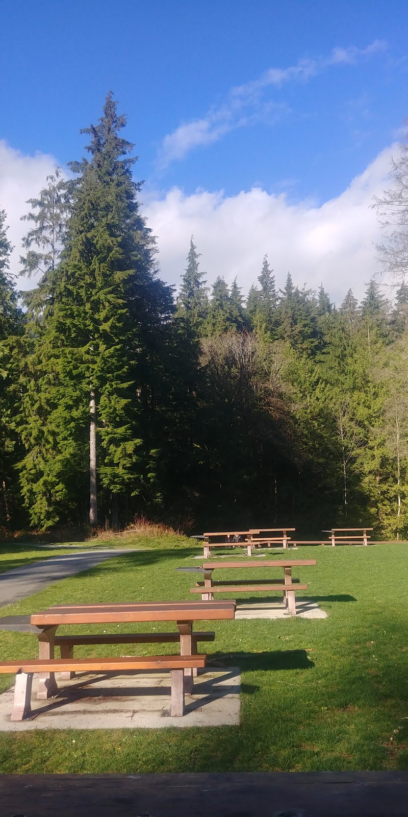 Allouette Lake South Beach | Maple Ridge, BC V0E 5N0, Canada | Phone: (604) 924-2226