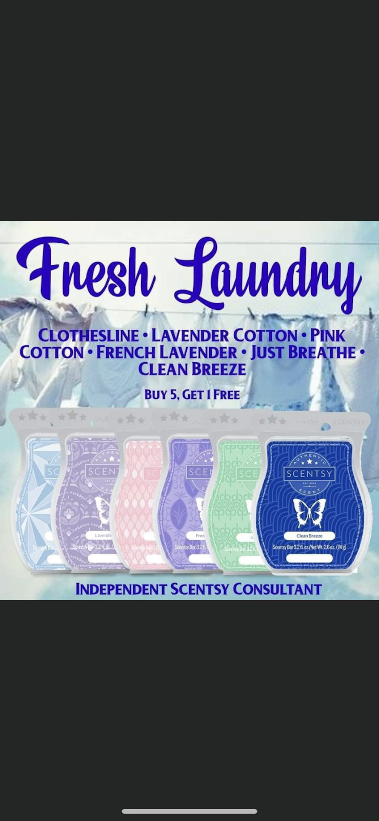 Scentsy with sara | 110 Mackan St, Thorold, ON L2V 1G6, Canada | Phone: (639) 571-3777