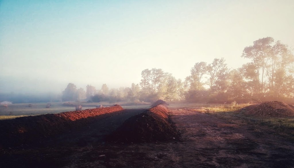 The Glen Road Organics Ltd. | 358 The Glen Rd, Woodville, ON K0M 2T0, Canada | Phone: (705) 439-2345