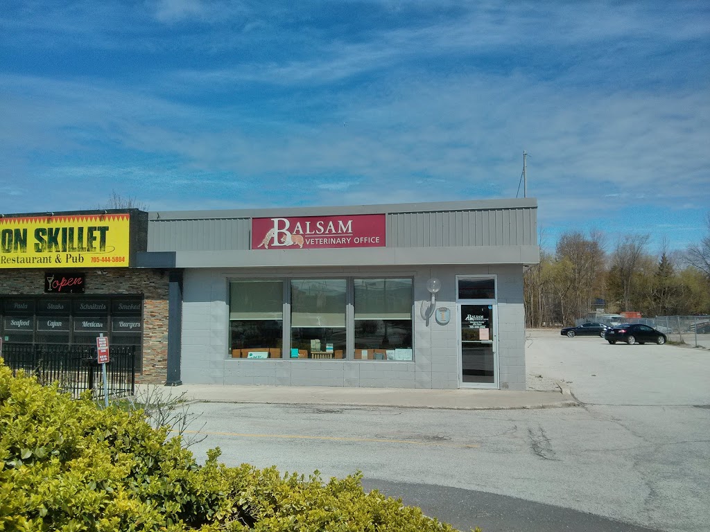 Balsam Veterinary Office | 20 Balsam St unit #1, Collingwood, ON L9Y 4H7, Canada | Phone: (705) 446-3556