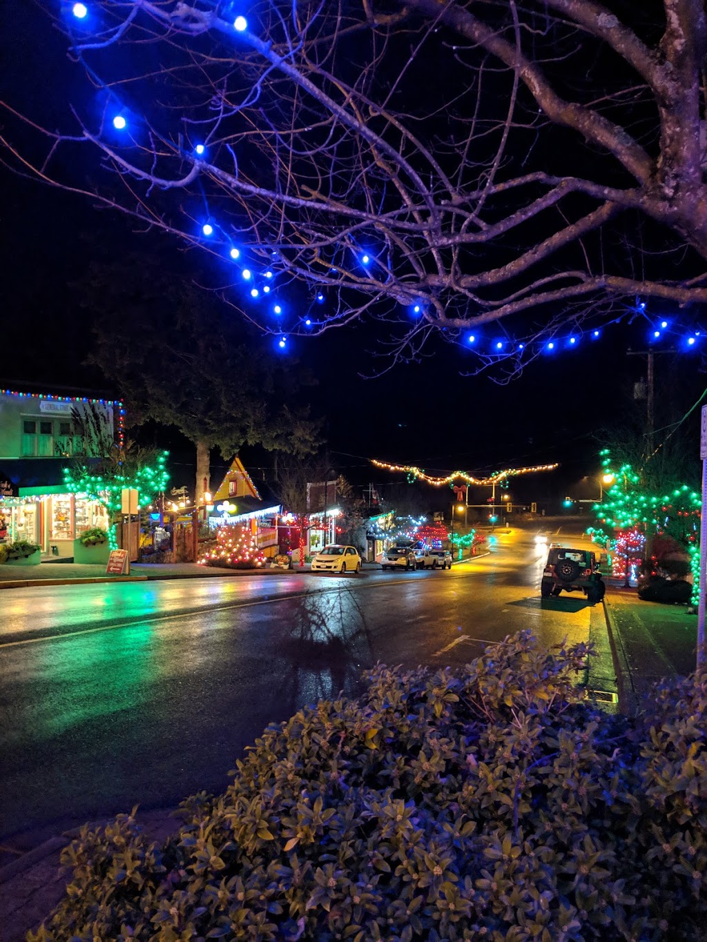 Barnacle Barneys | 341 1st Ave, Ladysmith, BC V9G, Canada | Phone: (250) 245-0899