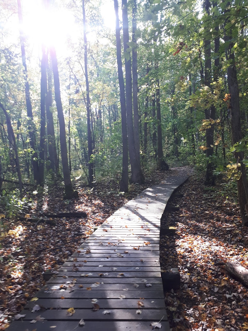 Warbler Woods | 1952-1968 Commissioners Rd W, London, ON N6K 4P4, Canada