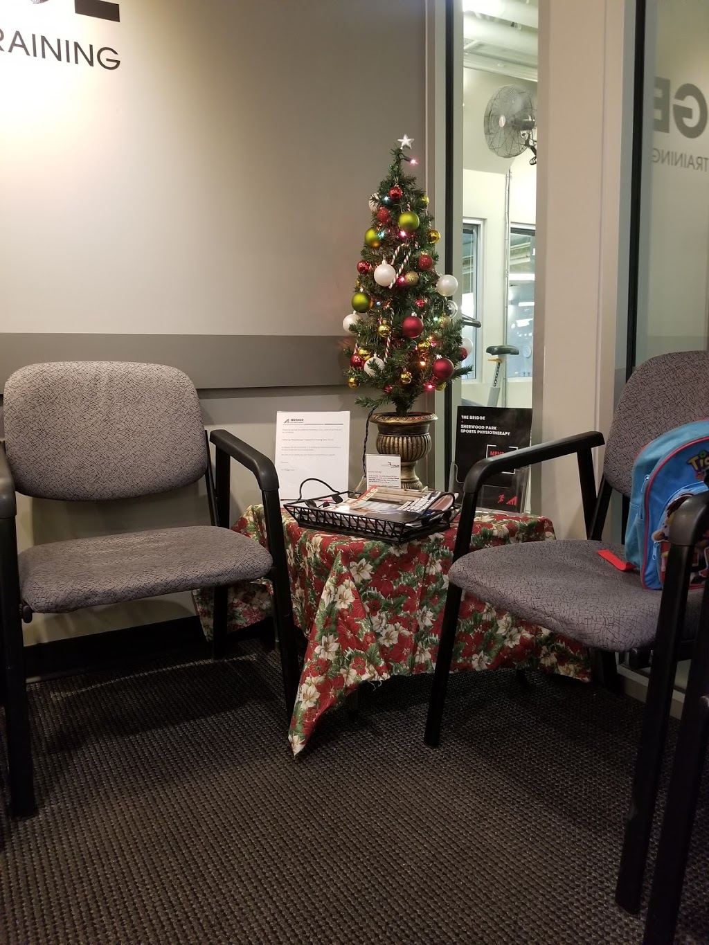 The Bridge - Sports Therapy & Training Sherwood Park | 2055 Premier Way #109, Sherwood Park, AB T8H 0G2, Canada | Phone: (780) 570-0225