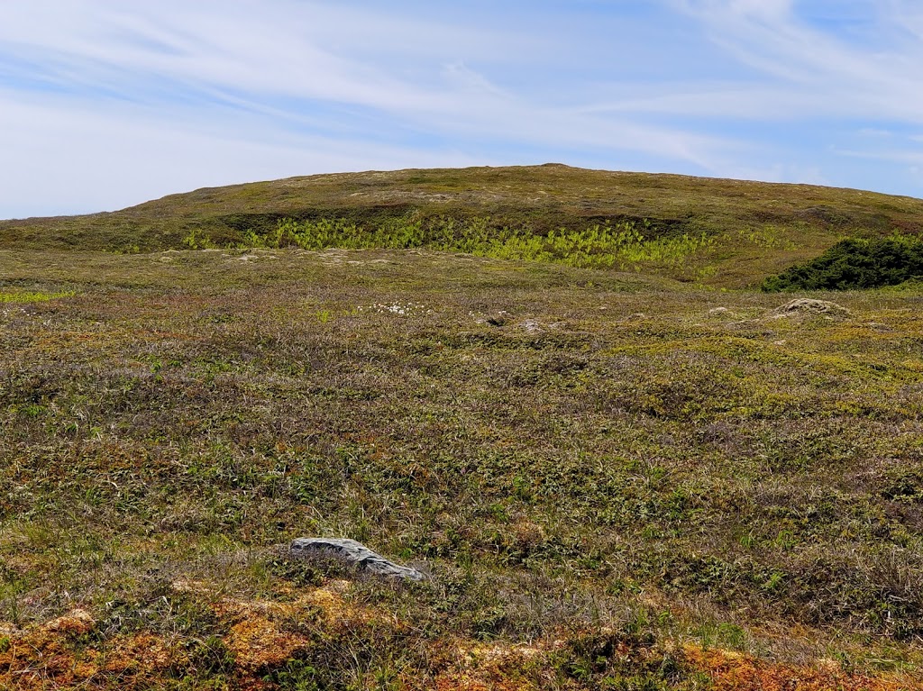 Edge of Avalon Interpretation Centre | NL-10, Portugal Cove South, NL A0A 4B0, Canada | Phone: (709) 438-1100