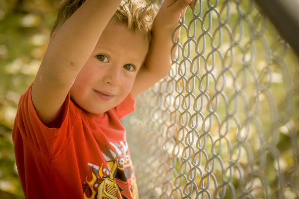 Anni Lygas Photography | 17 Valarosa Cove, Didsbury, AB T0M 0W0, Canada | Phone: (403) 831-9674