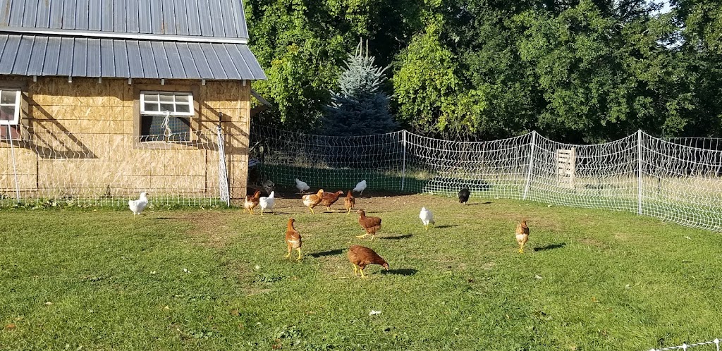 SweetHaven Farm | 583 Poonamalie Side Rd, Smiths Falls, ON K7A 4S4, Canada | Phone: (613) 207-3780