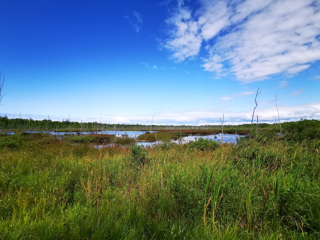 MacGregor Point Provincial Park | 1593 Bruce County Rd 33, Port Elgin, ON N0H 2C5, Canada | Phone: (519) 389-9056