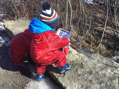 RisingOaks Early Learning | St. Nicholas | 525 Laurelwood Dr, Waterloo, ON N2V 2N1, Canada | Phone: (519) 883-1998