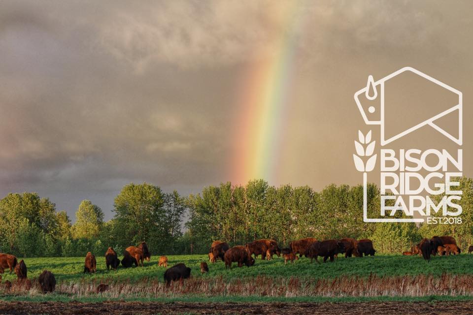 Bison Ridge Farms | Buckland Rd, Prince Albert, SK S6V 5R3, Canada | Phone: (306) 930-6760