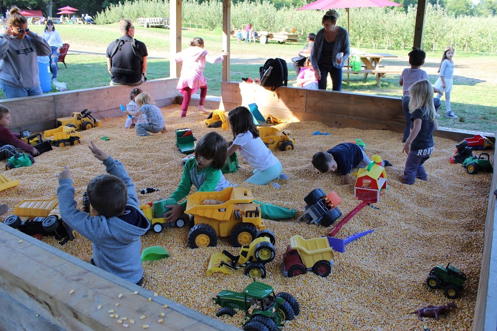 The Apple Orchard Inc. | 1668 ON-6, Hamilton, ON L8N 2Z7, Canada | Phone: (647) 456-6644
