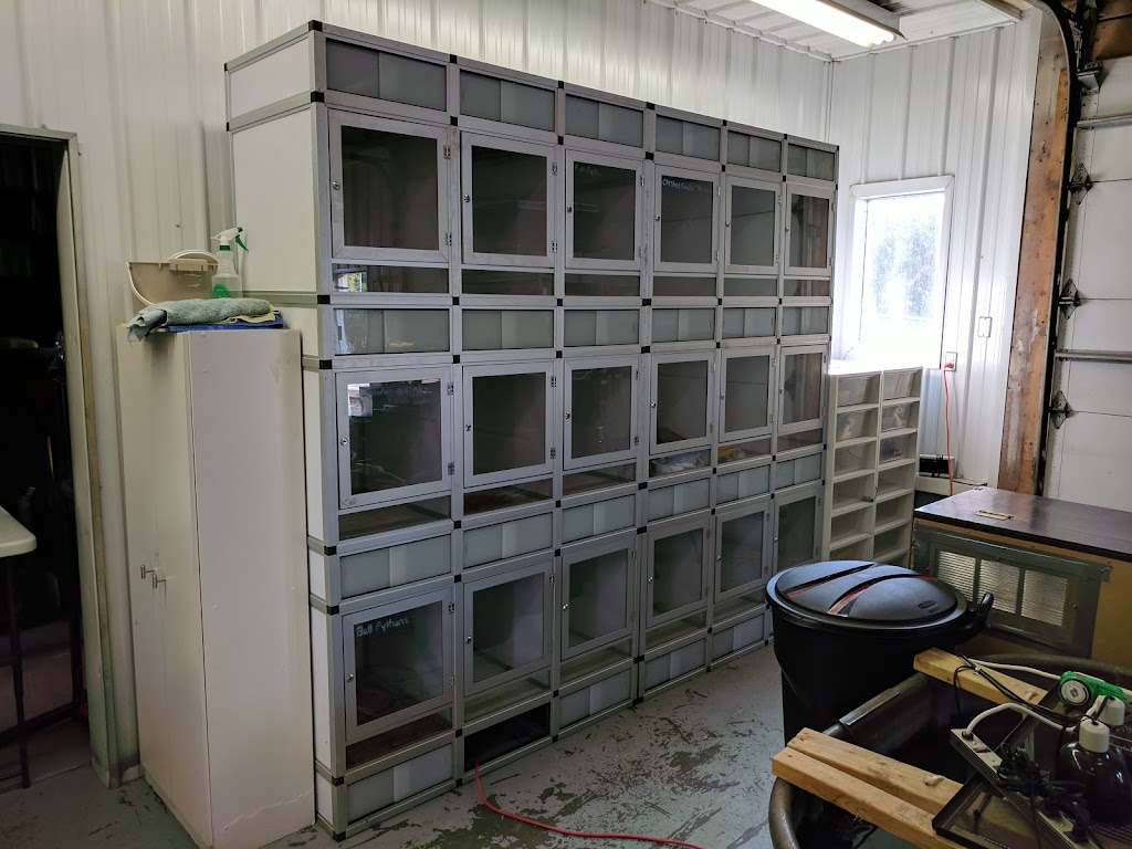 Little Res Q | 31021 ON-48, Pefferlaw, ON L0E 1N0, Canada | Phone: (416) 551-5863