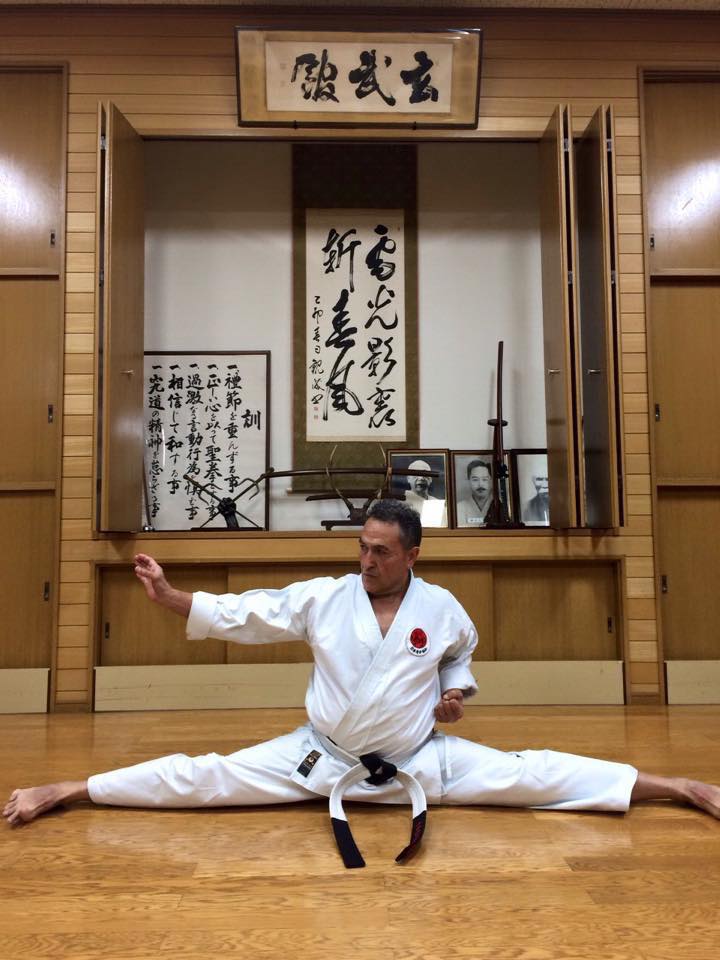 Zelli Shogun Karate Association | 16741 Boul Hymus, Kirkland, QC H9H 3L4, Canada | Phone: (514) 231-0122