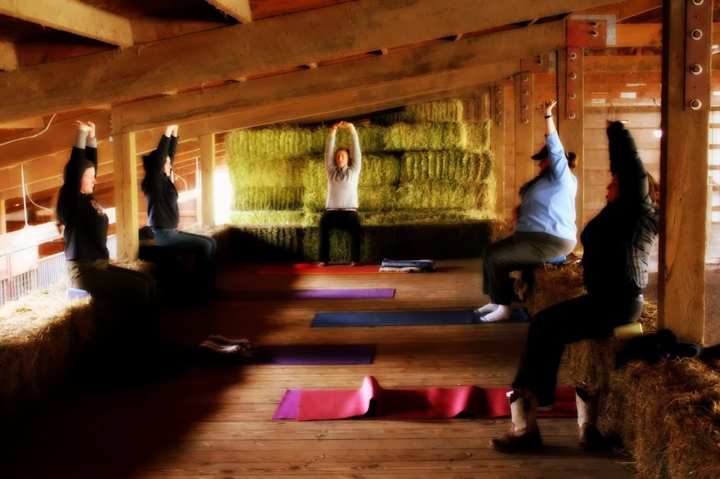 Hayloft Yoga: A Practice for Equine Enthusiasts | 15216 Colony Road, Double S Quarter Horses, Upstairs Hayloft, Bow, WA 98232, USA | Phone: (312) 857-3454