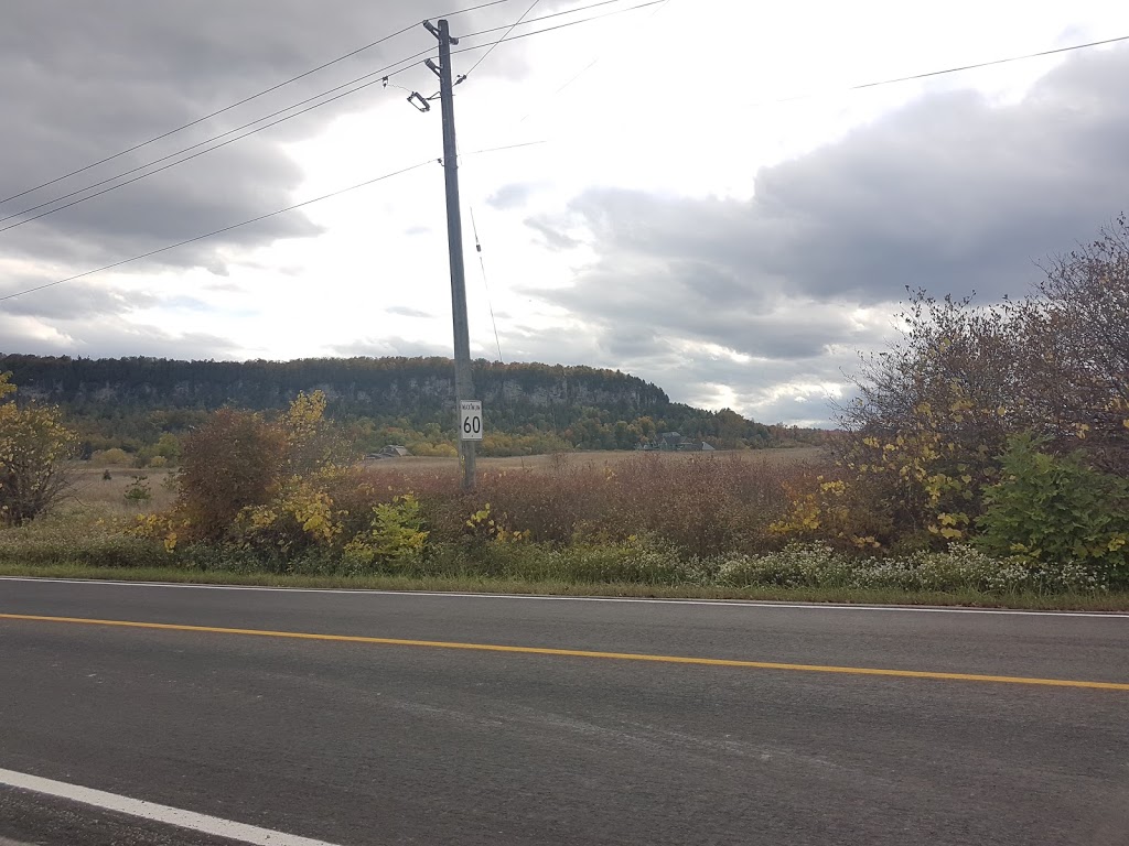 Linden Ridge Ltd. | 5577 Walkers Line, Burlington, ON L7M 0S2, Canada | Phone: (905) 320-0266