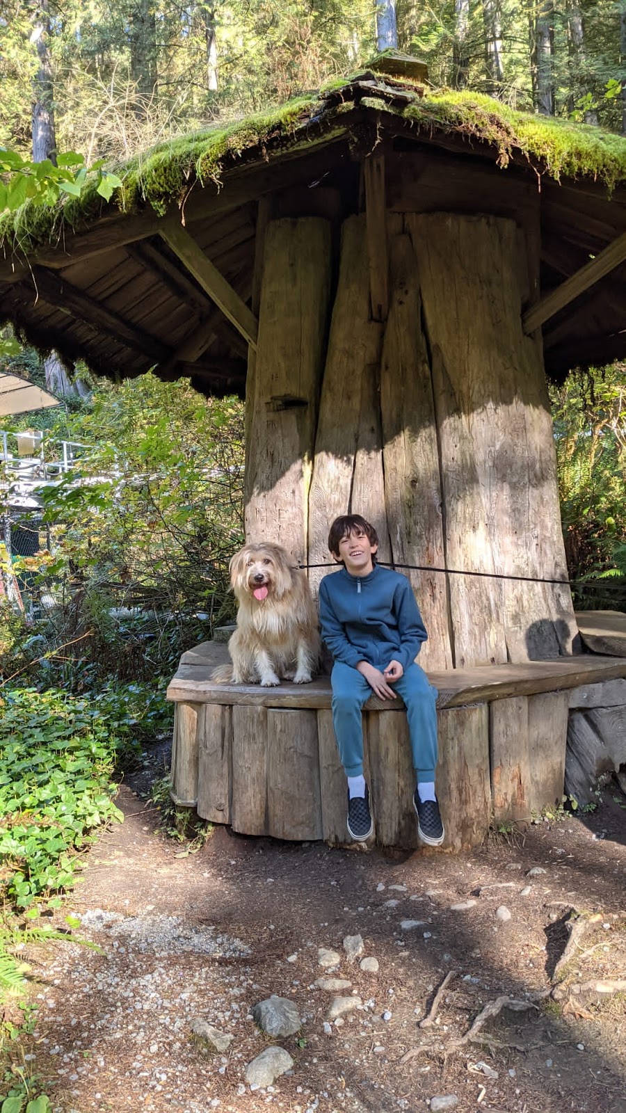 Argos Pet Ranch Boarding & Daycare | 18030 32 Ave, Surrey, BC V3S 0L5, Canada | Phone: (604) 807-3023