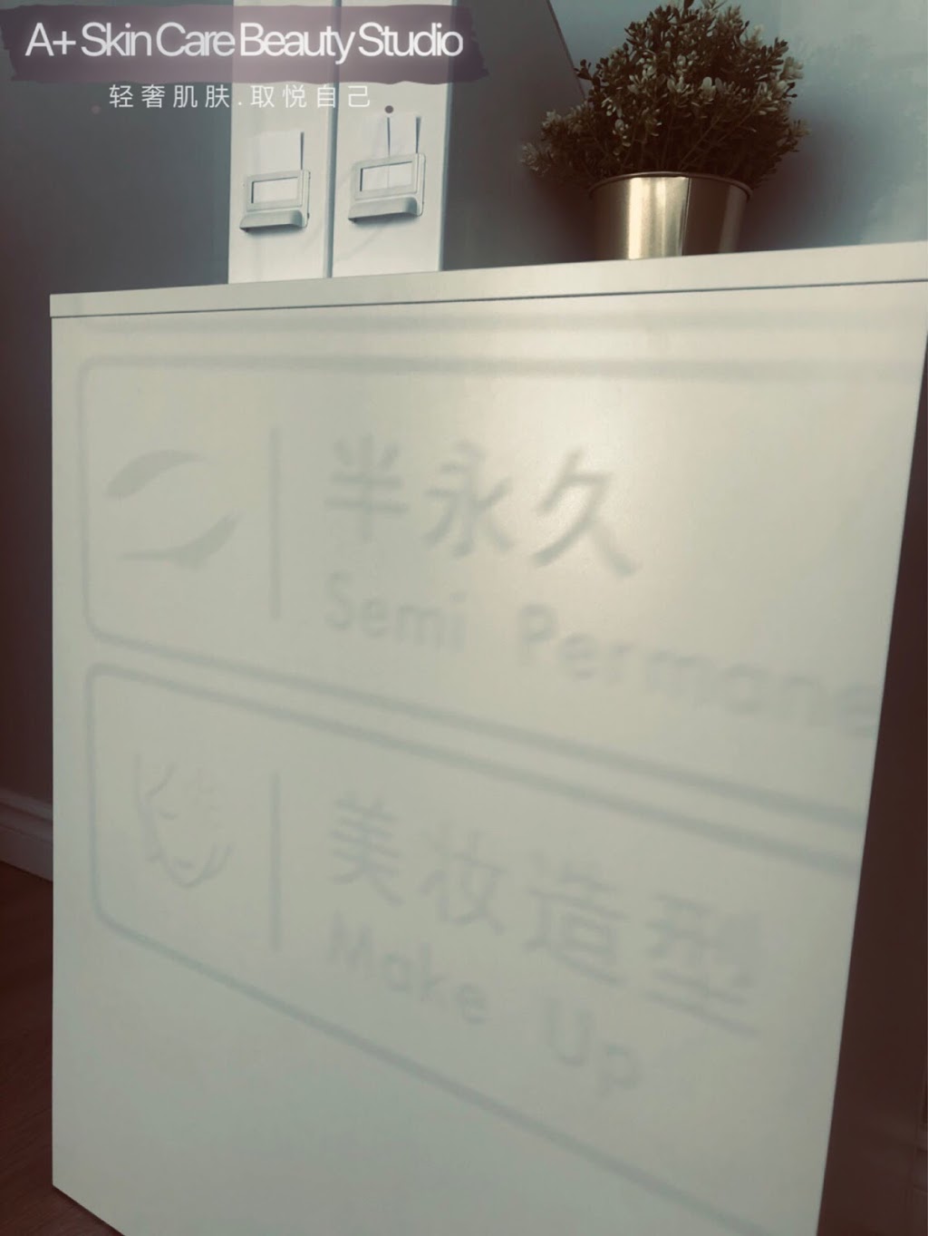 A+ Skin Care & Beauty A+ 轻奢美学皮肤管理 | 8380 Kennedy Rd C5, Unionville, ON L3R 0W4, Canada | Phone: (416) 276-8198