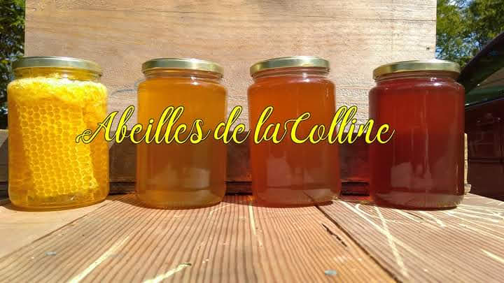 Abeilles de la Colline | Chem. Tamaracouta, Mille-Isles, QC J0R 1A0, Canada | Phone: (514) 603-9520