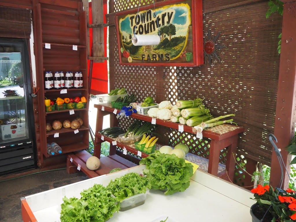 Tims Farm | 361 Canboro Rd, Ridgeville, ON L0S 1M0, Canada | Phone: (905) 921-0560
