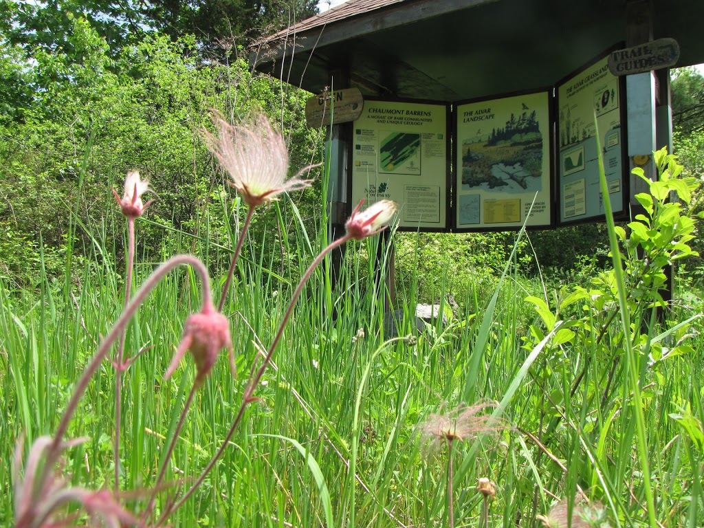 Chaumont Barrens Nature Preserve | 29924 Van Alstyne Rd, Chaumont, NY 13622, USA | Phone: (315) 387-3600