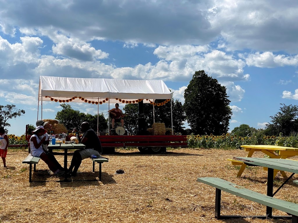 Pingles Farm Market | 1805 Taunton Rd, Hampton, ON L0B 1J0, Canada | Phone: (905) 725-6089