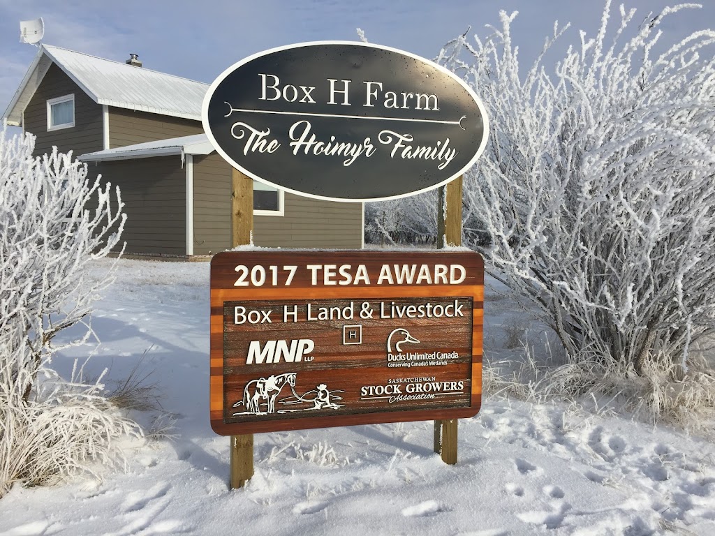 Box H Farm | SW 5-3-18 W2nd, Gladmar, SK S0C 1A0, Canada | Phone: (306) 815-7191
