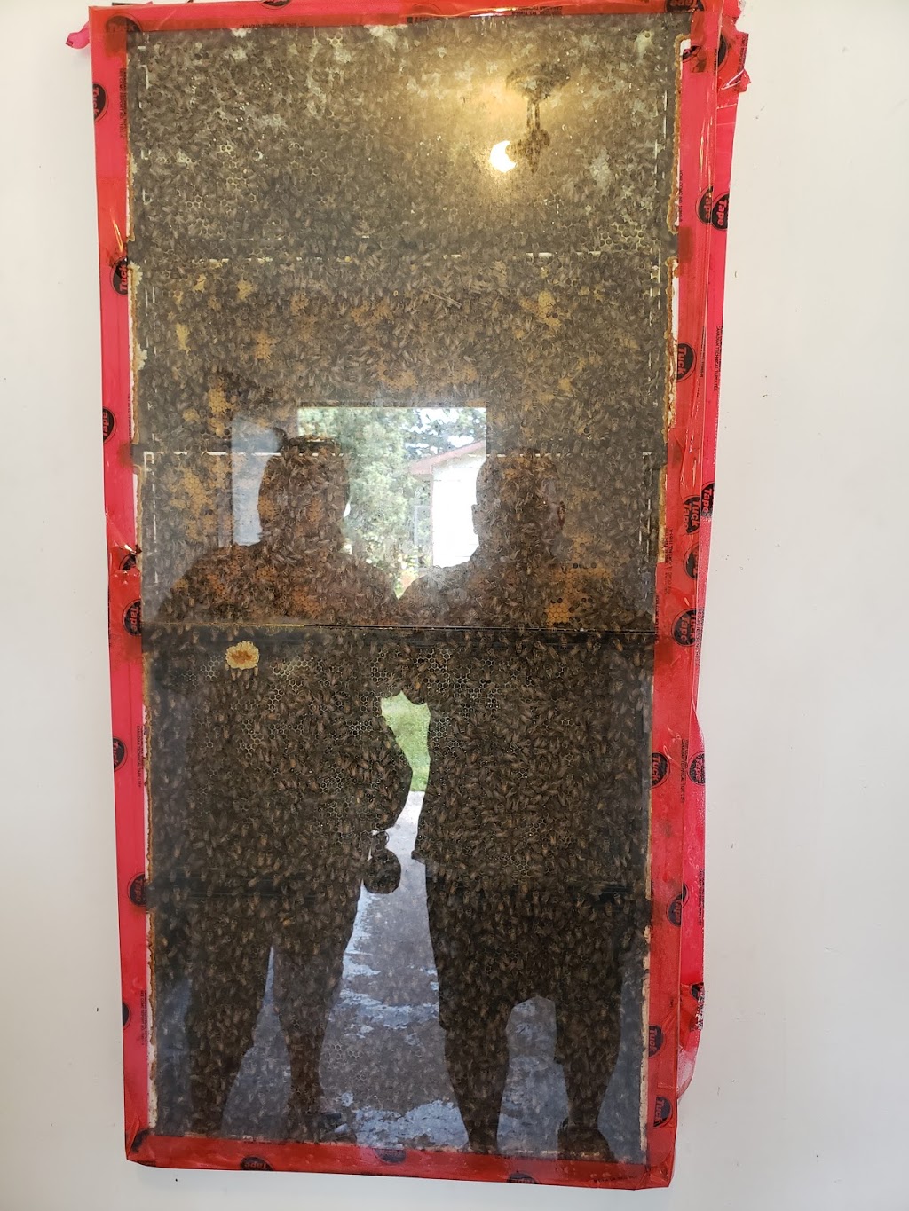 Cherry Creek Apiaries Honey | 5885 Yonge St, Churchill, ON L0L 1K0, Canada | Phone: (705) 456-3876