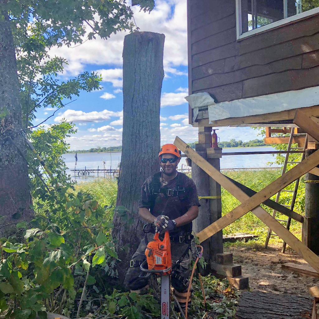 Service d’Arbres Beauchemin | 116 Chemin de lÎle dEmbarras, Sorel-Tracy, QC J3P 5N3, Canada | Phone: (514) 816-6804