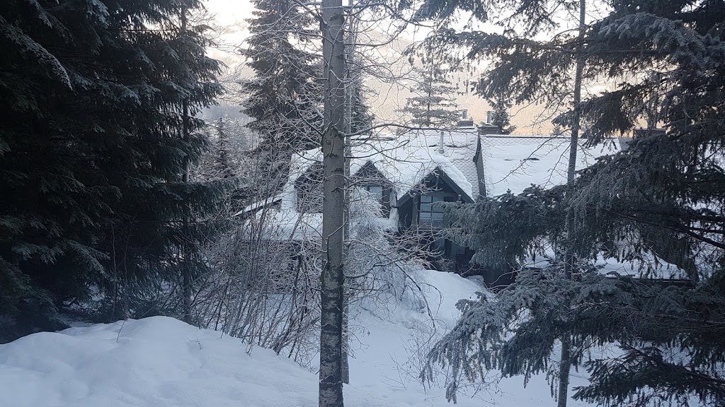WhistlerSlopeside | lodging | 4705 Glacier Dr, Whistler, BC V0N 1B4, Canada | 3054587800 OR +1 305-458-7800