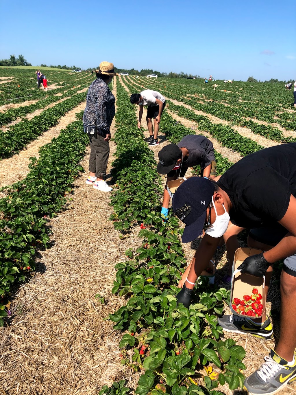 Jenala Farms | 475080 Dufferin County Road 11, Shelburne, ON L0N 1S4, Canada | Phone: (519) 925-5464