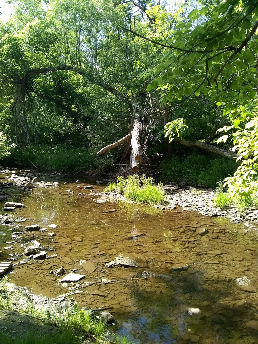 Joshuas Valley Park | 2301 Devon Rd, Oakville, ON L6J 5R2, Canada