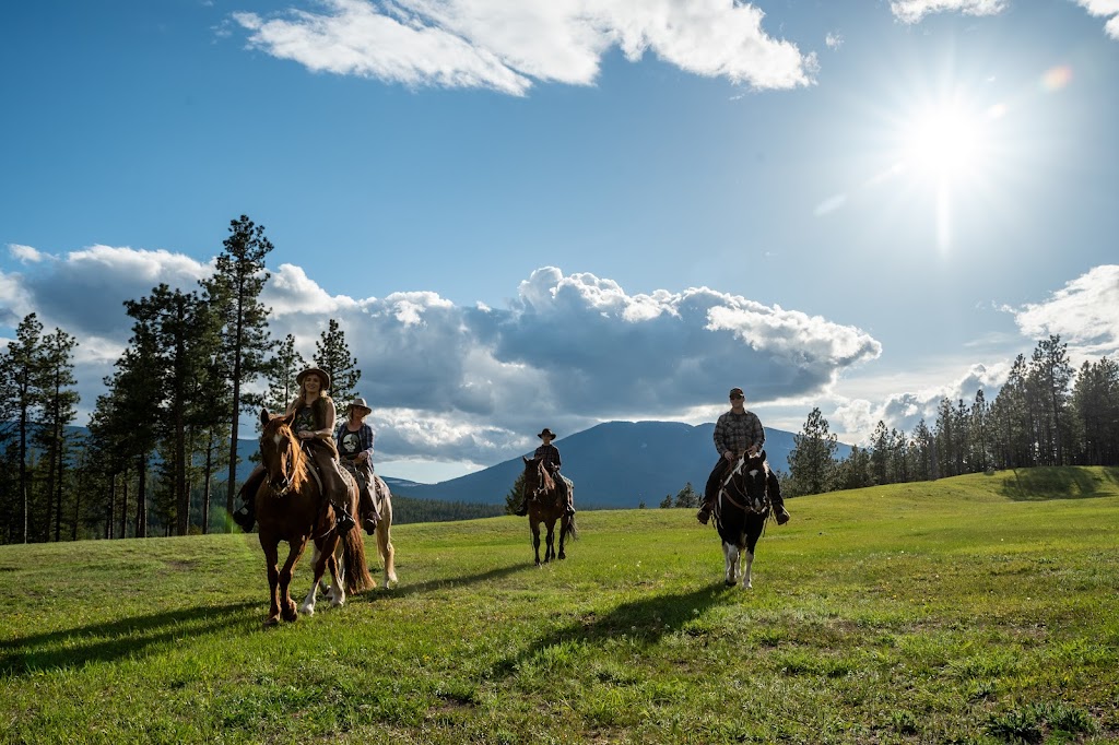 Freedom Equine Association | 4344 Fenwick Rd, Wardner, BC V0B 2J0, Canada | Phone: (250) 430-2233