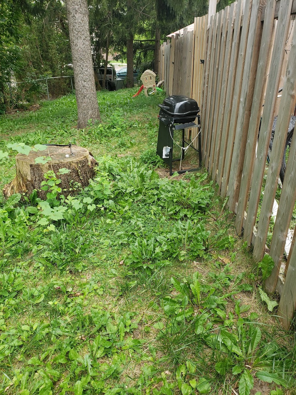 Ankay Property Solutions | 74 Churchill St, Waterloo, ON N2L 2X2, Canada | Phone: (647) 244-2988