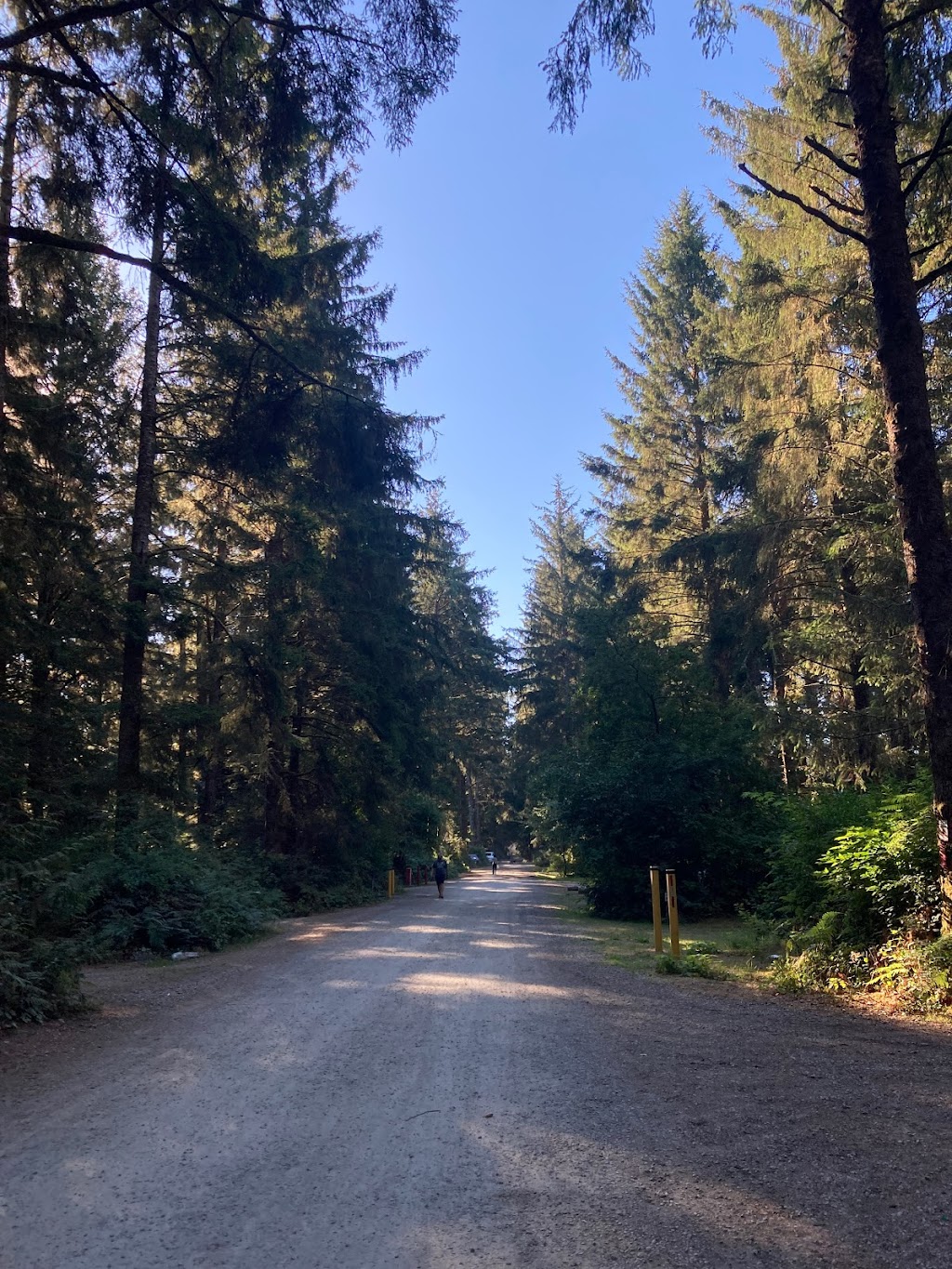 Pachena Campground | 90 Anacla Rd, Bamfield, BC V0R 1B0, Canada | Phone: (250) 728-1287
