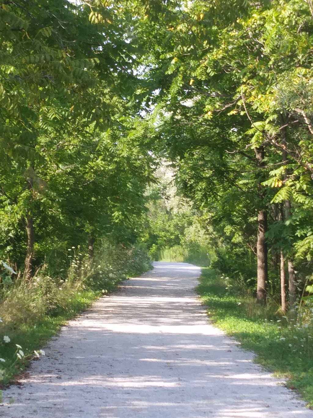 Hespeler Mill Pond | Cambridge, ON N0B, Canada