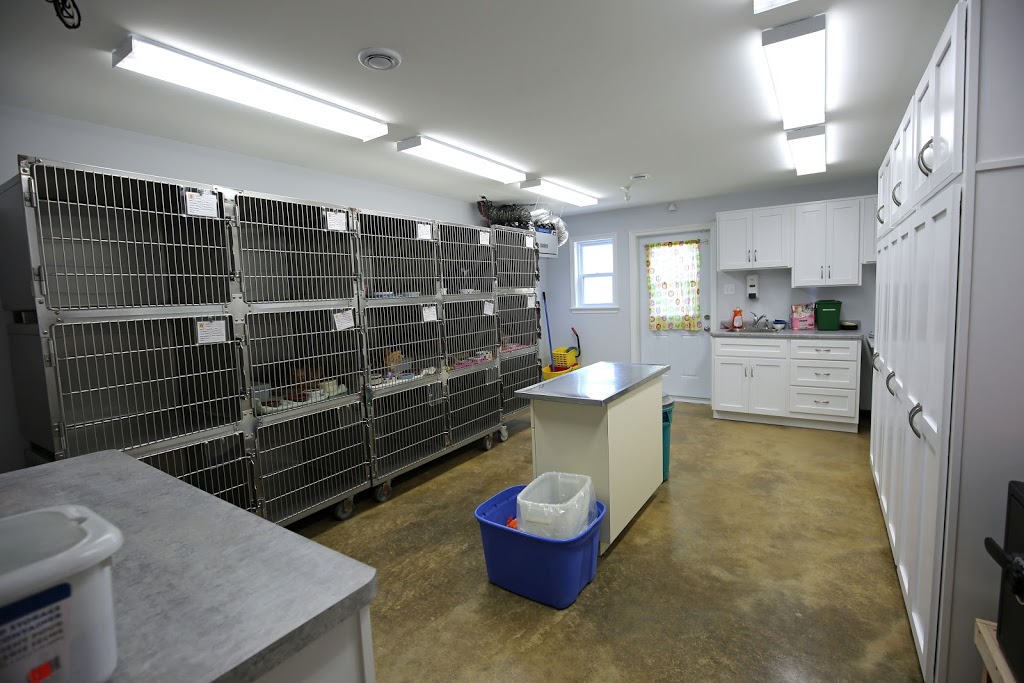 SHAID Tree Animal Shelter | 950 Mullock Rd, Whynotts Settlement, NS B4V 5T9, Canada | Phone: (902) 543-4849