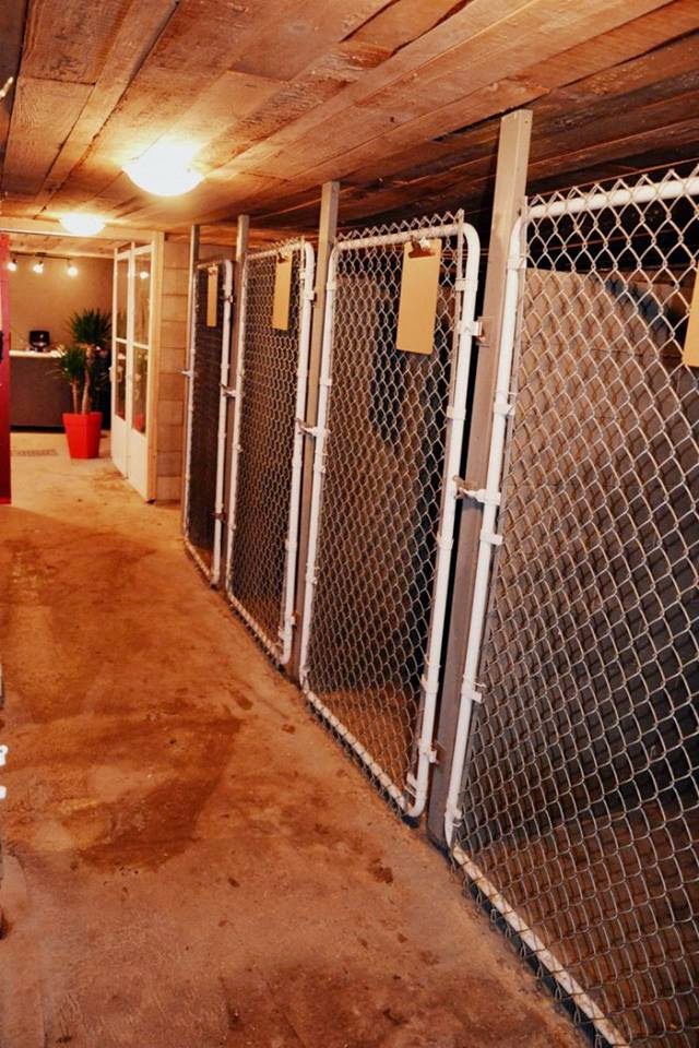 Adorable Doggytown | 322 Chem. du Ruisseau, Saint-Jacques-le-Mineur, QC J0J 1Z0, Canada | Phone: (514) 846-3444