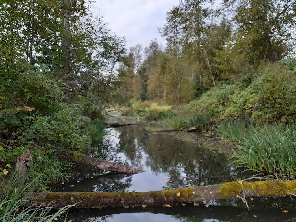 Cheam Lake Wetlands Regional Park | 53480 Elgey Rd, Rosedale, BC V0X 1X1, Canada | Phone: (604) 702-5000