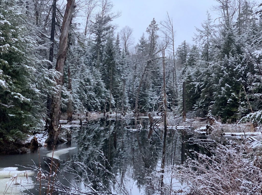 Seigneurie du Lac Meduse en Mauricie | 8 Chem. de la Colline, Saint-Roch-de-Mékinac, QC J0V 1P0, Canada | Phone: (514) 814-2723