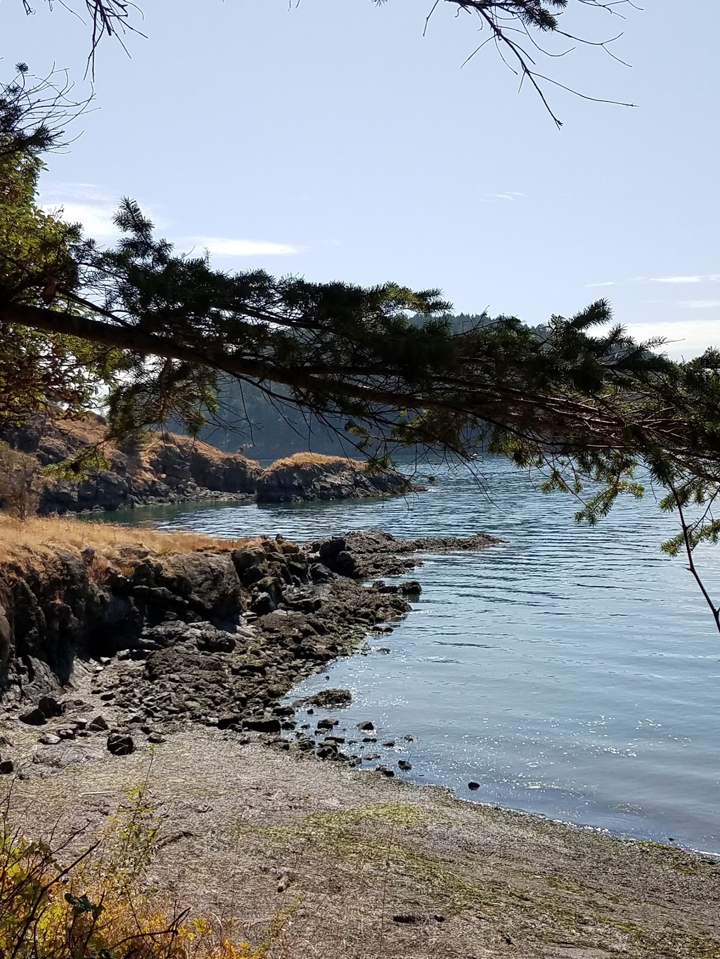 Saddlebag Island State Park | Anacortes, WA 98221, USA | Phone: (360) 376-2073