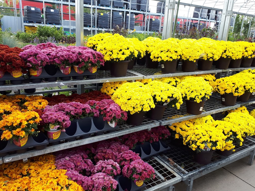 The Home Depot | 2020 101 St NW, Edmonton, AB T6N 1J2, Canada | Phone: (780) 433-6500
