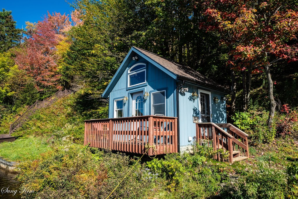 TeenyTinyCottage | 209 Peninsula Dr, Eden Mills, VT 05653, USA | Phone: (802) 730-5817