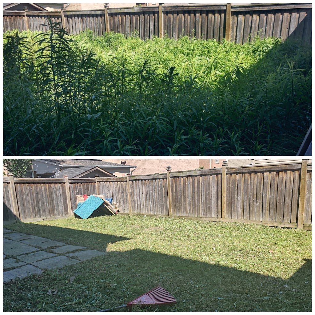 Greenworks Lawncare & Landscaping Inc. | 42 Hewson Crescent, Georgetown, ON L7G 2N9, Canada | Phone: (705) 500-9000
