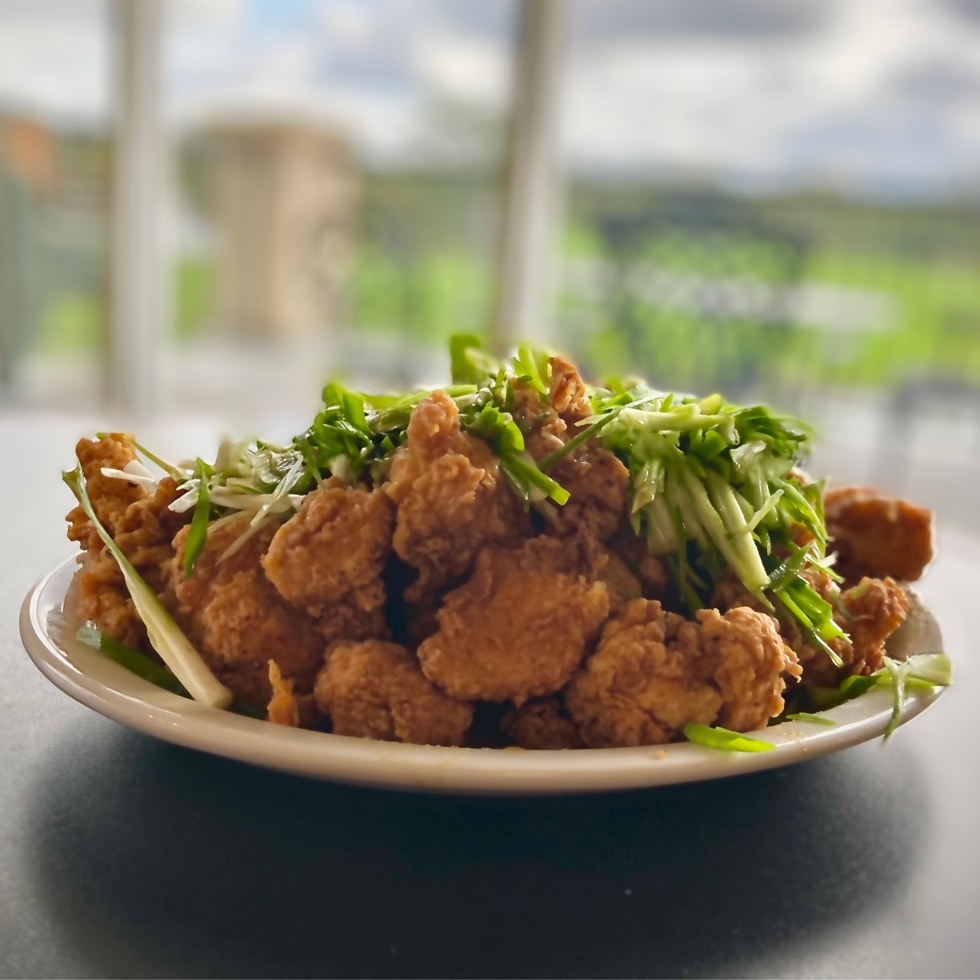Soora Restaurant | 196 Webber Rd, Welland, ON L3B 5N8, Canada | Phone: (905) 735-6768