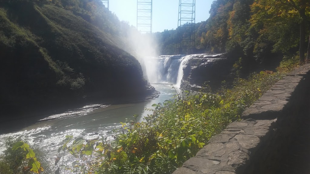 Joseph Davis State Park | Youngstown, NY 14174, USA | Phone: (716) 754-8213