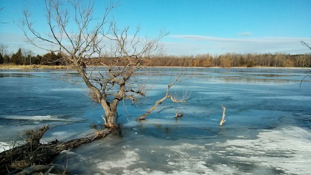 McLaughlin Bay Wildlife Reserve - Second Marsh Wildlife Area | Beaton, Oshawa, ON, Canada
